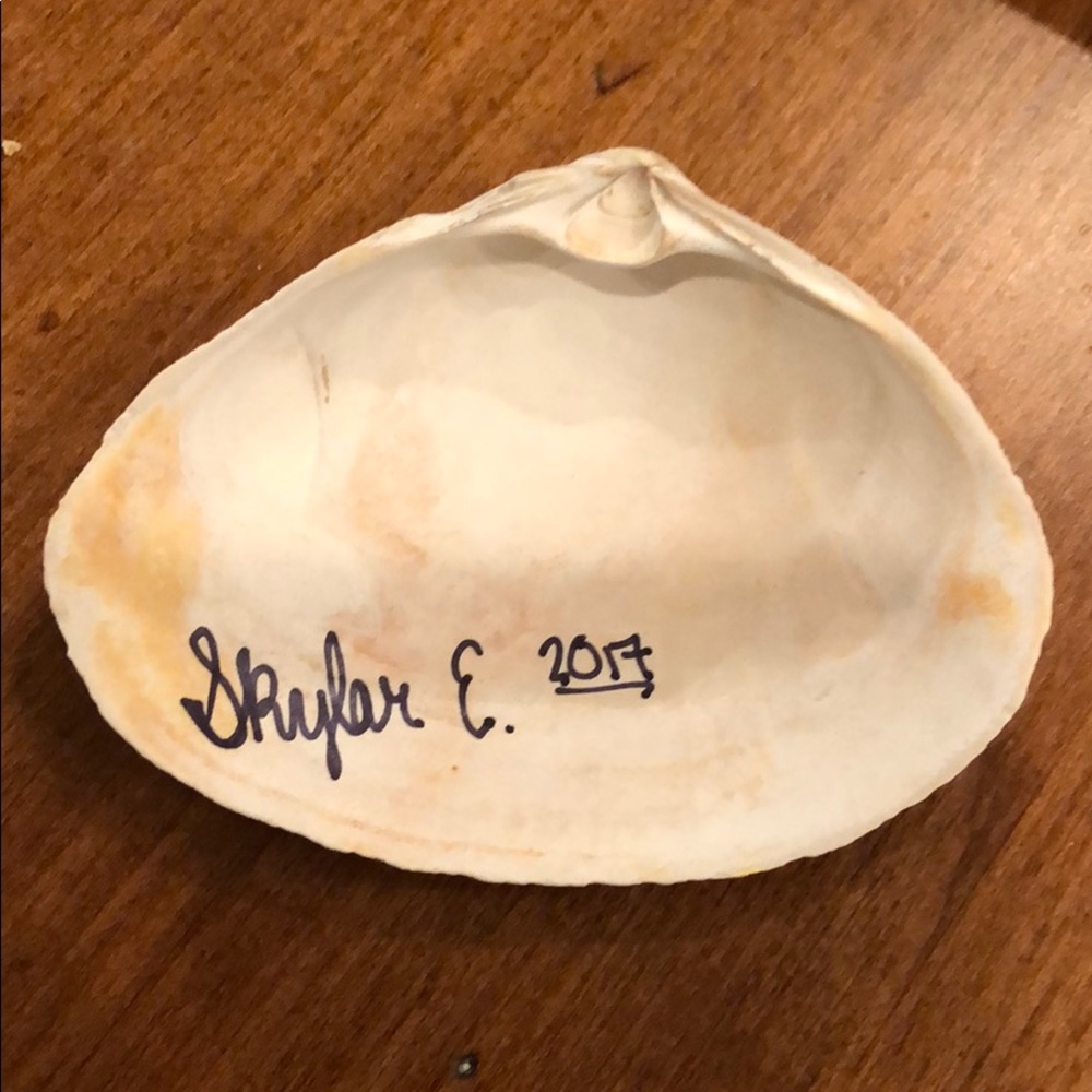 Hand painted shell - Picture 3 of 3